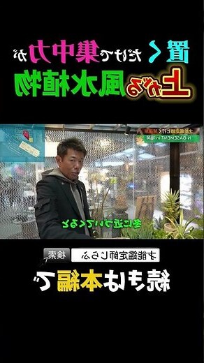 職場 風水